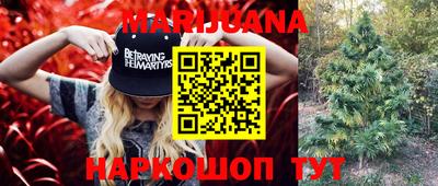 СК Краснознаменск