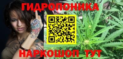 СК Краснознаменск