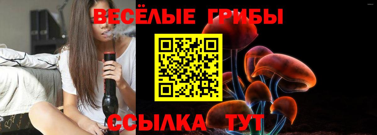 Шелехов  Псилоцибиновые грибы Psilocybine cubensis  Вход с VPN  Галлюциногенные грибы мухоморы 