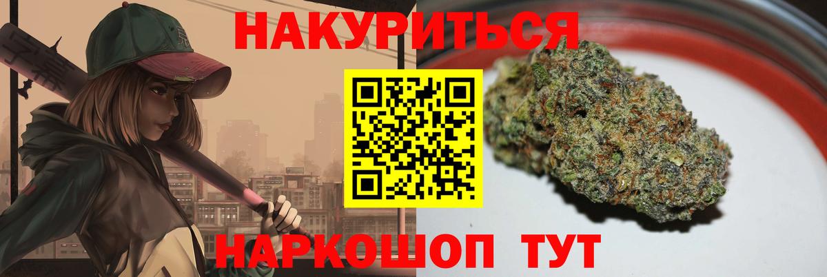 Конопля сатива Шелехов